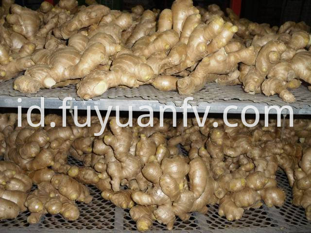 air dried ginger 